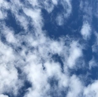 Australian Sky🙌 #gardening#gardeninggoldcoast#gardenmaintenance#gardencare#follow#look#gardener#garden#mowing#goldcoast#庭#植木屋#ガーデナー#ゴールドコースト#オーストラリア#空 #sky